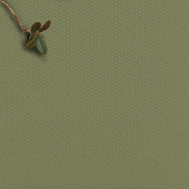 Amara Olive - Green cotton fabric for drapes, upholstery, blinds